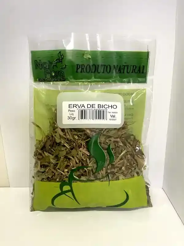 Erva de Bicho (Polygonum punctatum) – 30g