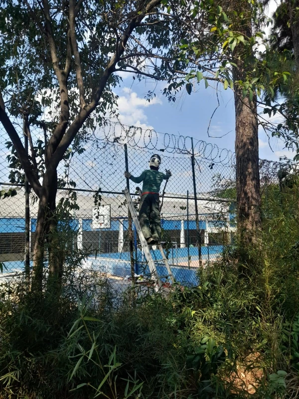 Laudo para poda de árvore Imagem ilustrativa de Laudo para poda de árvore