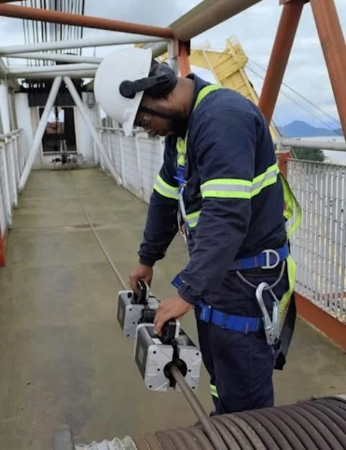 Imagem Ilustrando Vannuchi