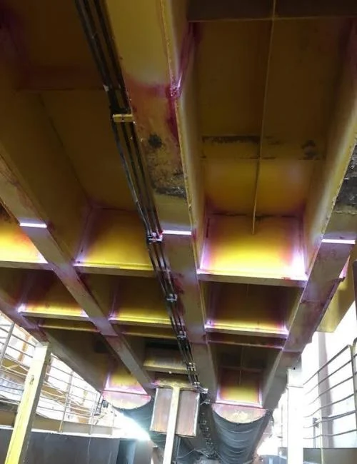 Imagem Ilustrando Vannuchi