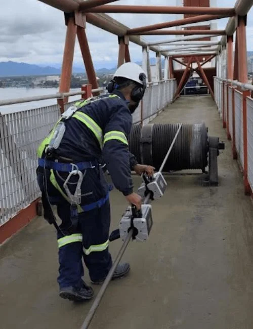 Imagem Ilustrando Vannuchi