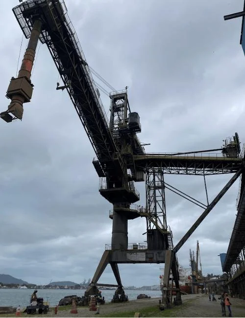 Imagem ilustrativa de Inspeção nr 29