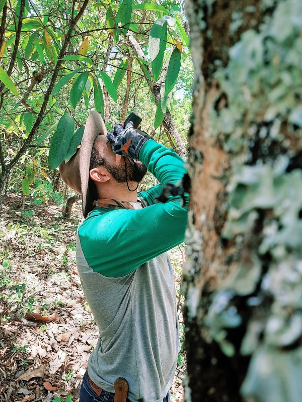 Engenharia Agrícola e Ambiental