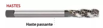 Haste passante