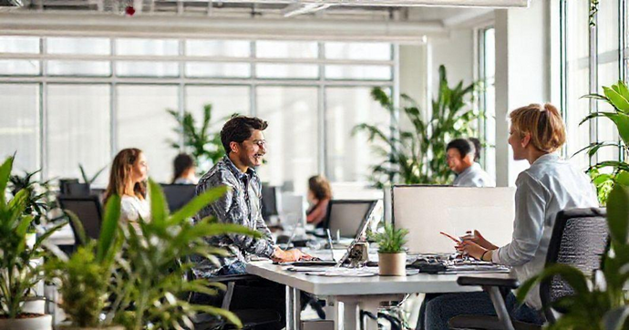 Exame Periódico em Pinhais: Saúde e Bem-Estar Essenciais