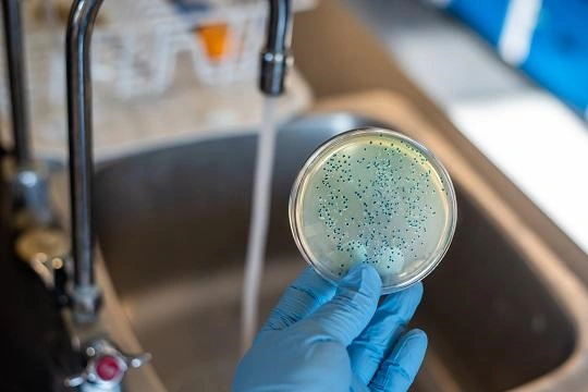 Quais doenças podem ser transmitidas pela água contaminada e como evitá-las? Quais doenças podem ser transmitidas pela água contaminada e como evitá-las?