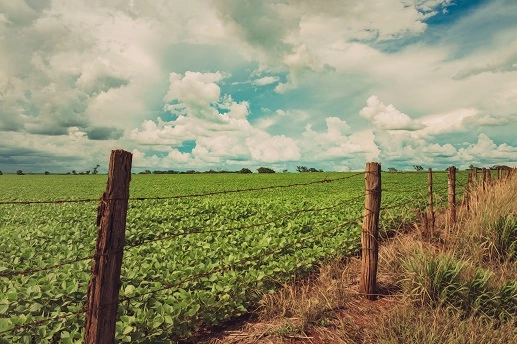 Como regularizar um imóvel rural Como regularizar um imóvel rural