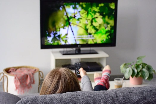 Filmes e documentários sobre meio ambiente indicados para você assistir Filmes e documentários sobre meio ambiente indicados para você assistir