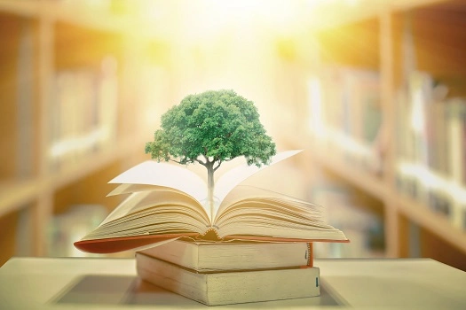 Livros de meio ambiente e sustentabilidade para os amantes da natureza Livros de meio ambiente e sustentabilidade para os amantes da natureza