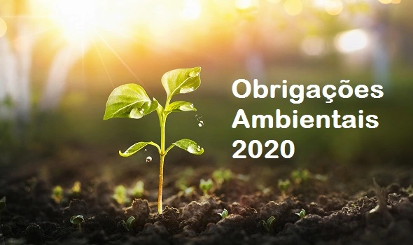 Obrigações ambientais em 2020 Obrigações ambientais em 2020