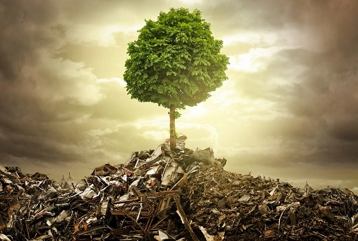 Qual é a função da reciclagem e a sua importância para o meio ambiente? Qual é a função da reciclagem e a sua importância para o meio ambiente?