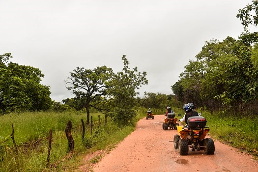 Turismo rural e ecoturismo em Minas Gerais: os melhores destinos Turismo rural e ecoturismo em Minas Gerais: os melhores destinos