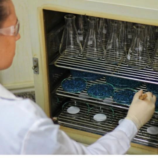 Laboratório de análise ambiental microbiológica Imagem ilustrativa de Laboratório de análise ambiental microbiológica